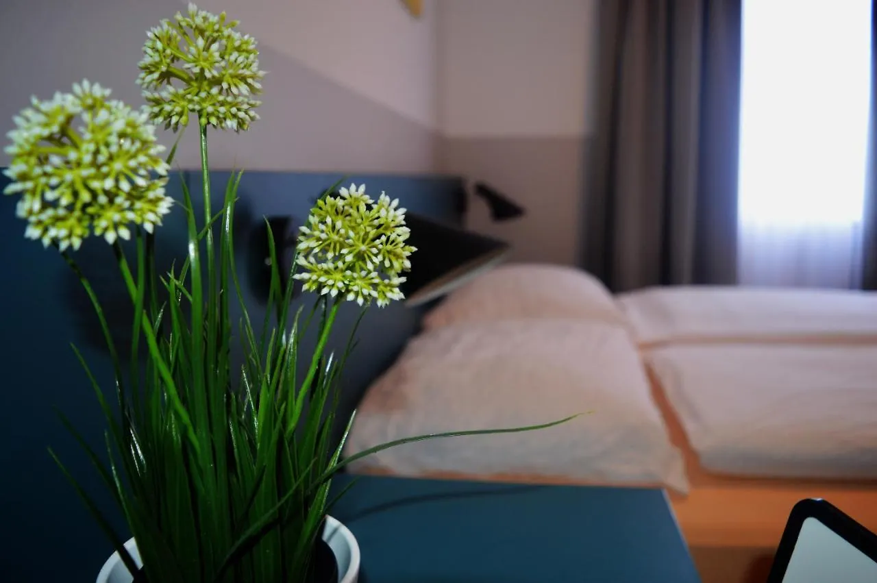 Pension Elisabeth - Rooms & Apartments Σάλτσμπουργκ Πανσιόν